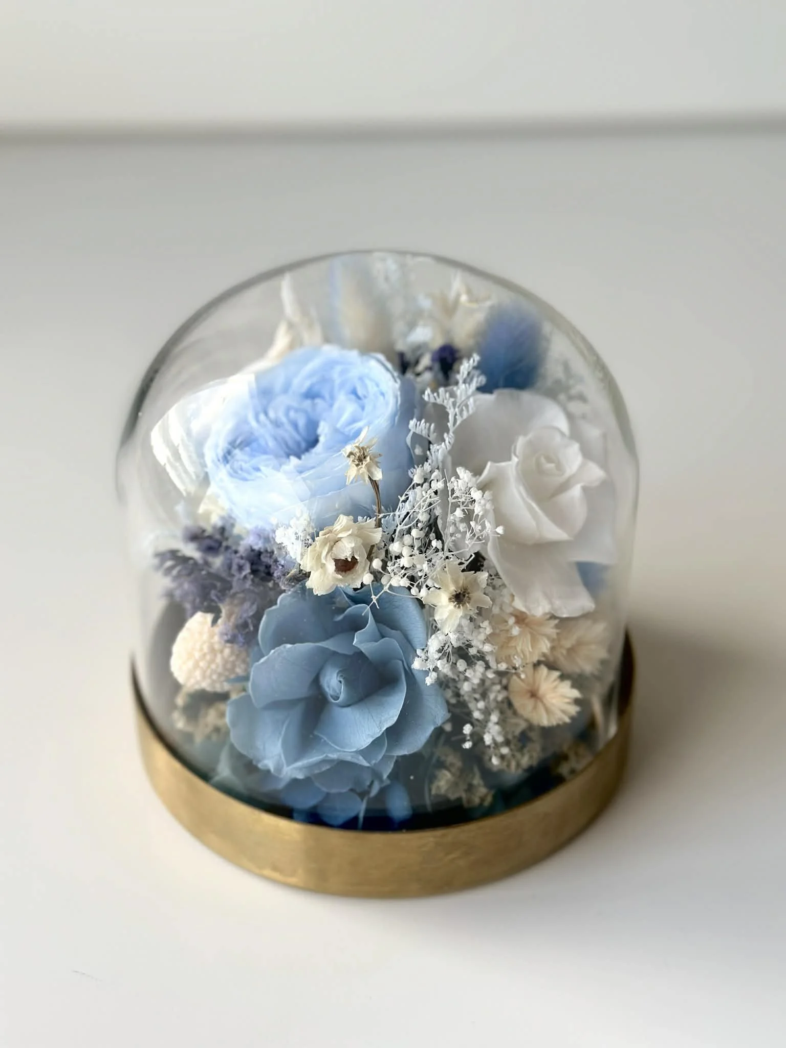 565ed16f-b896-4248-8f8d-b4157e8fb30c.jfif