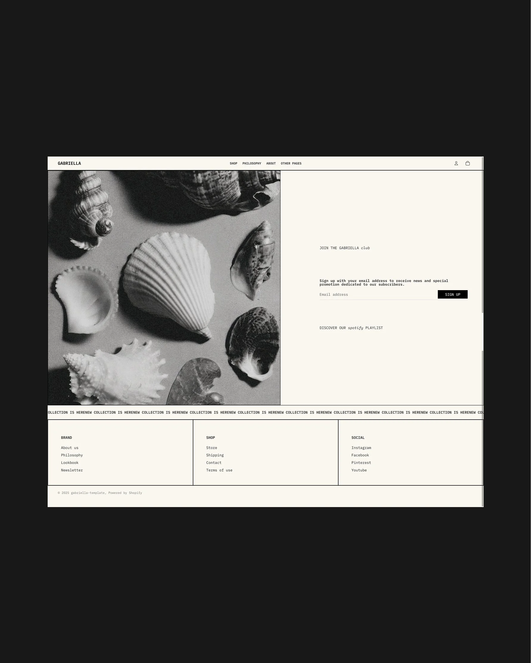 Gabriella Squarespace Ecommerce Template-4.jpg