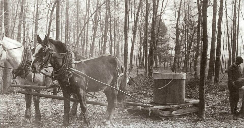 The Bissell's have been making maple syrup for over 100 years, but did you know that maple syrup was first recorded as being produced in 1540 by Native Americans? We've sure come a long way in maple production! The first photo is from Nate's family a