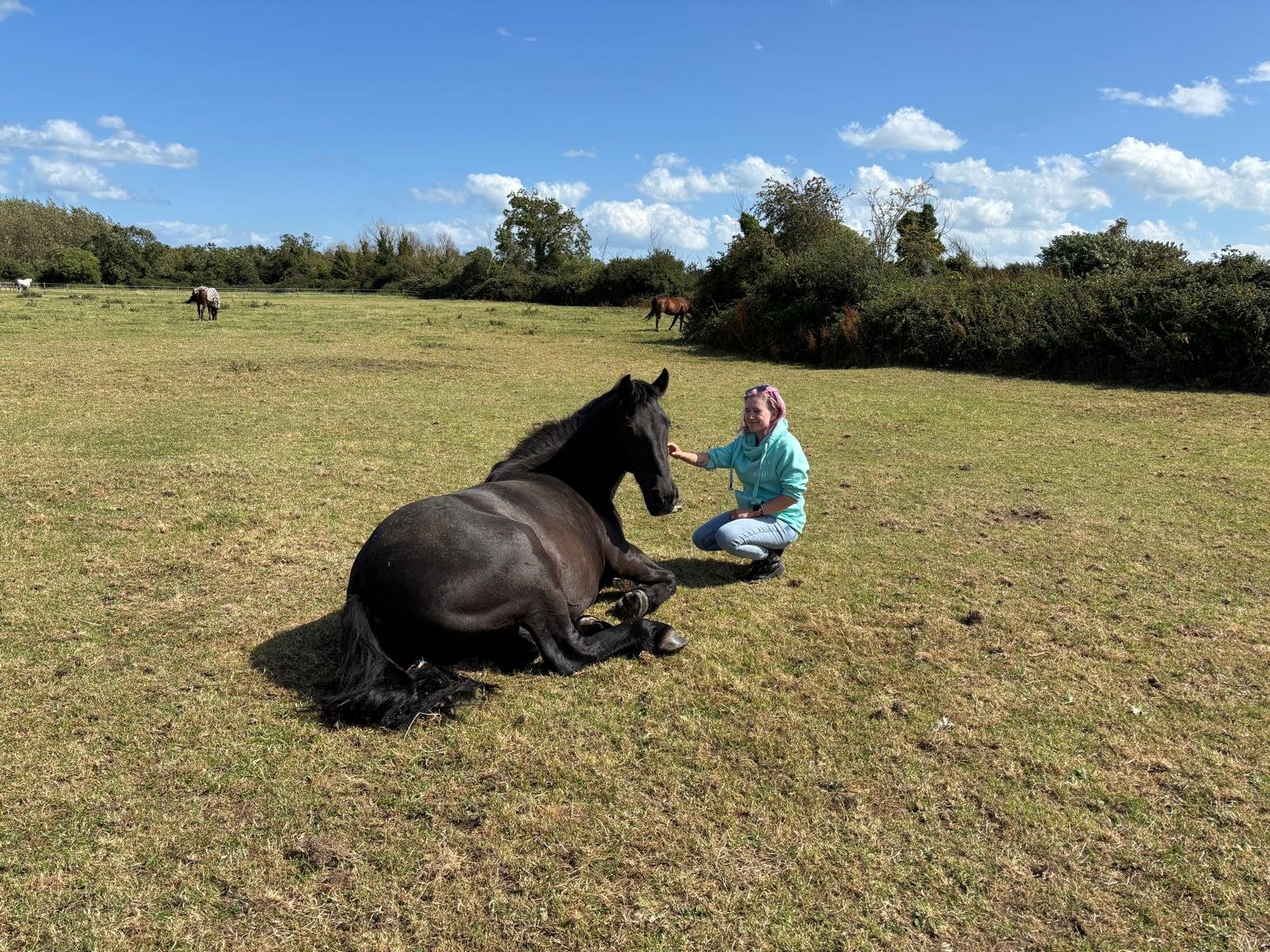 My horse retired, so I took up rugby