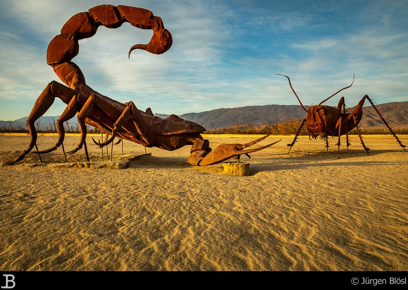 Galleta Meadows - Borrego Springs - California - USA