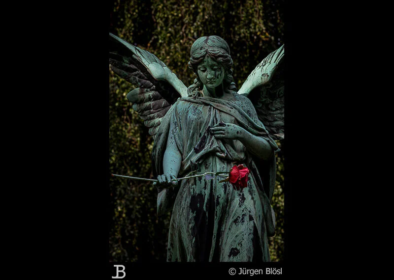 at the cemetery Ohlsdorf - Hamburg - Germany