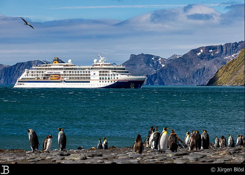 HANSEATIC inspiration at Gold Harbour - South Georgia