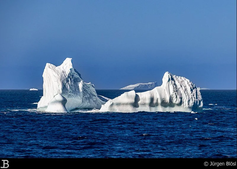On the way to South Georgia - Icebergs and Penguins - 4