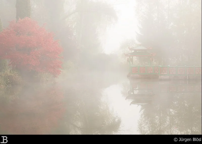 Marzellus’ Garden - Weißenhorn - Germany
