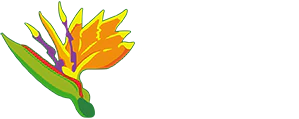 Funeral Flowers by Albuquerque Florist