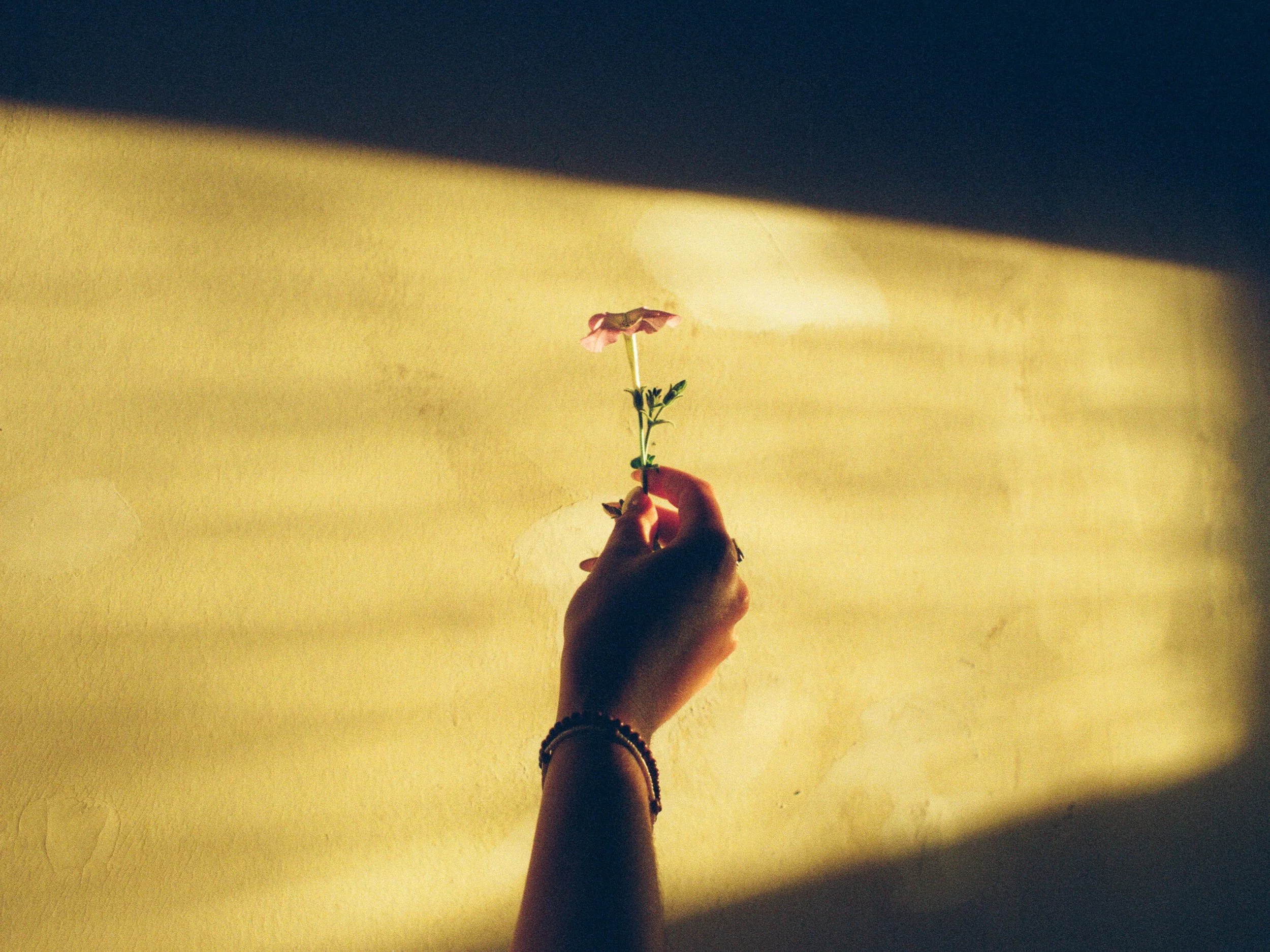 000068620018-5.jpg
