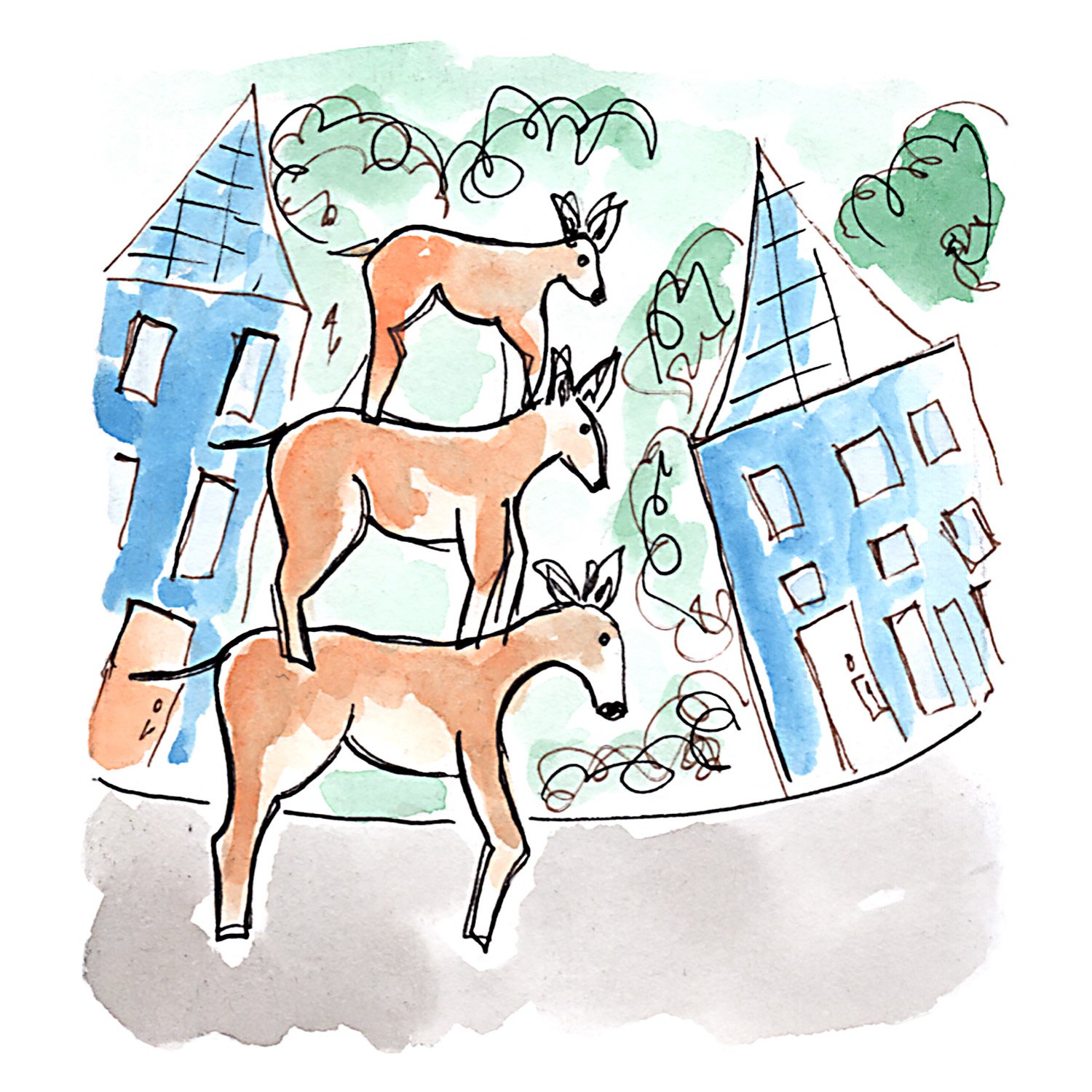 Hammond-deer-stack-1500x1500 72dpi image.jpg
