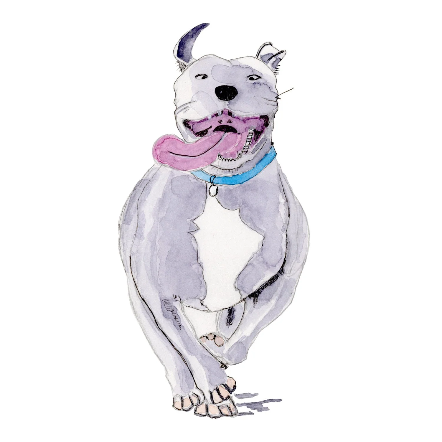 Hammond-pitbull-1500x1500-72dpi-image.jpg