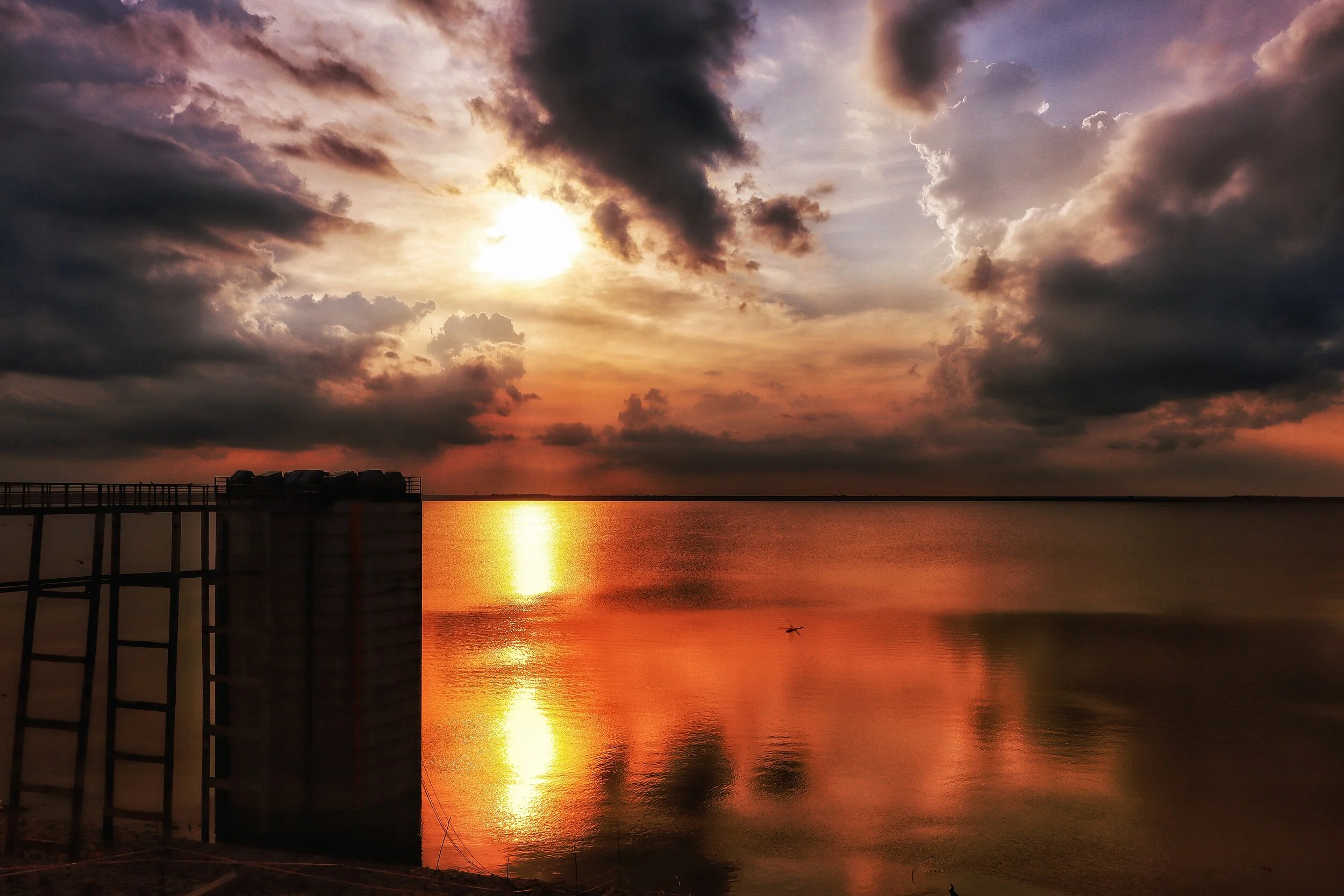 20200907173552_IMG_1156-01 - Shrujan Shashan Mutheboyina.jpeg