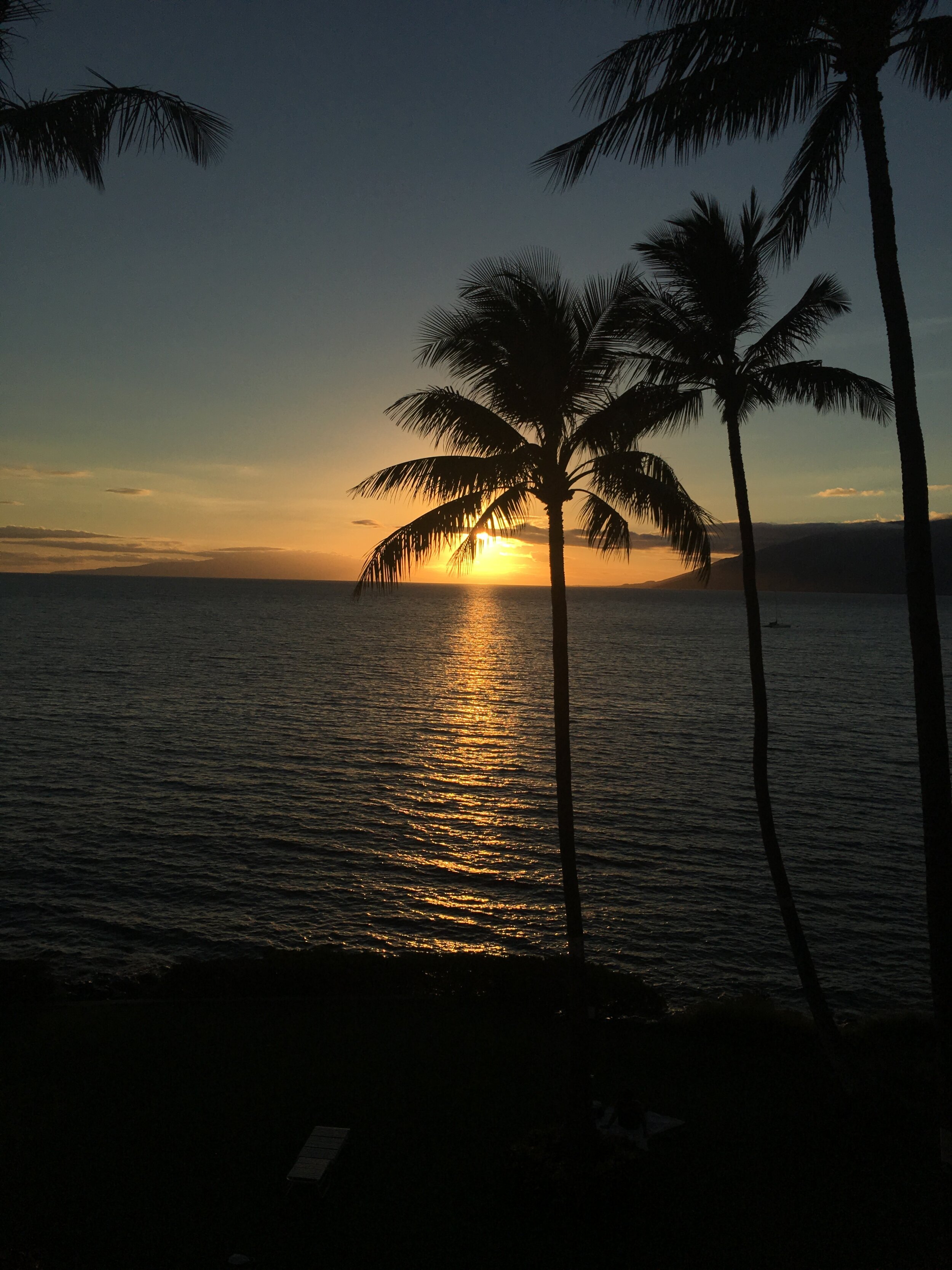 80CB89C8-46A4-4DFE-94F6-729BB6597852 - Sabrina Burkey.jpeg