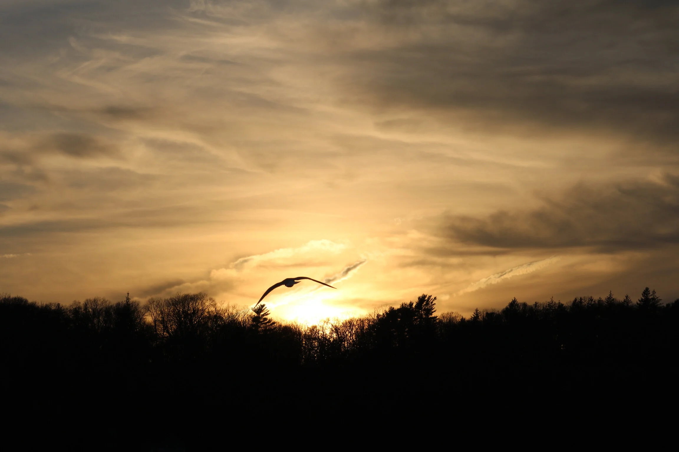 IMG_0138 - Sarah Amaoui.JPG