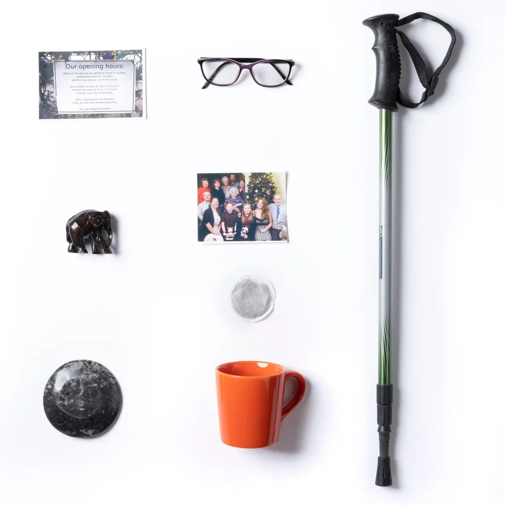 Sue Ives - curious objects.webp
