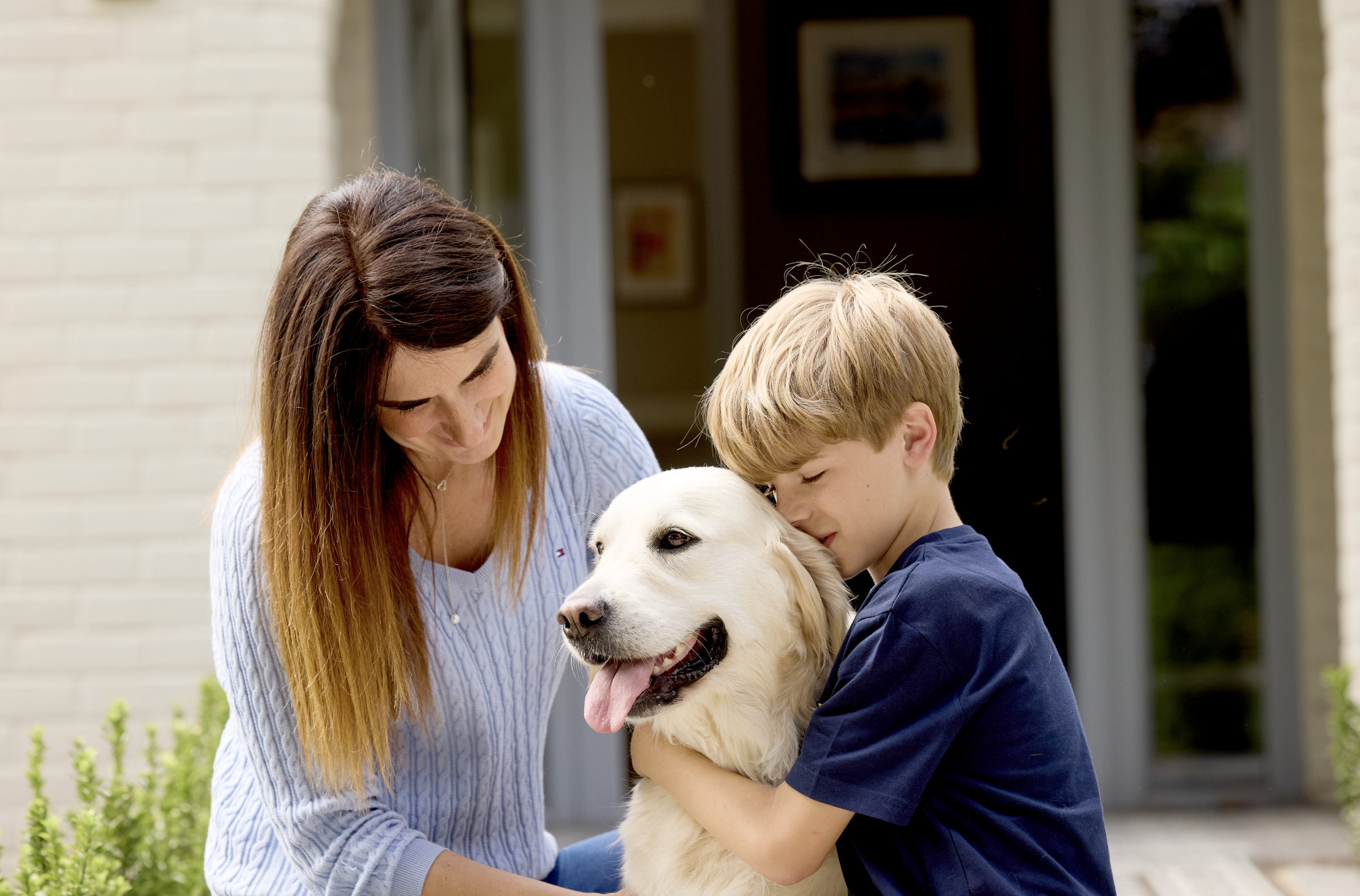 Screenshot 2026-03-26 at 12.26.32.png