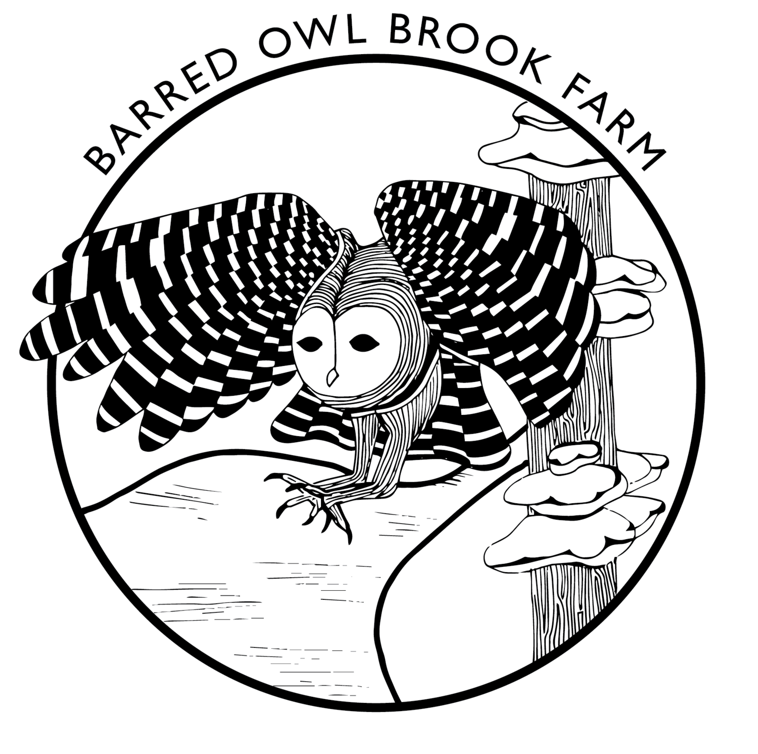 Barred Owl Brook Farm