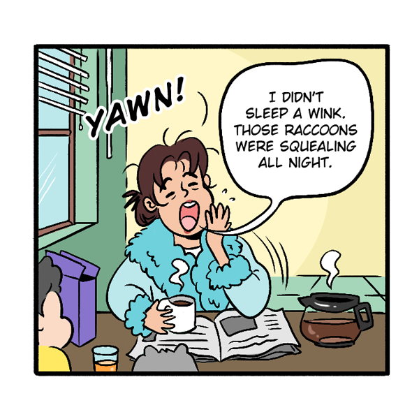 Bay & Stripes (Ongoing)