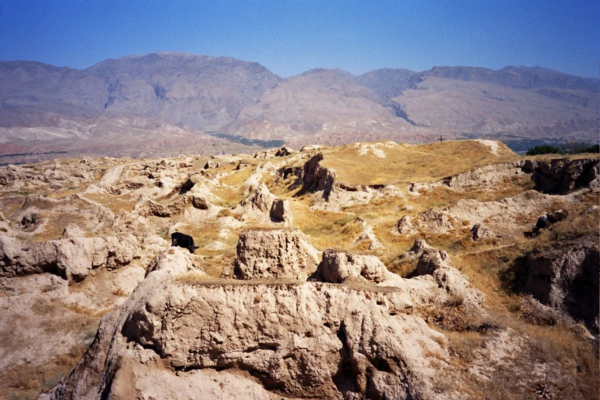 b5.jpg