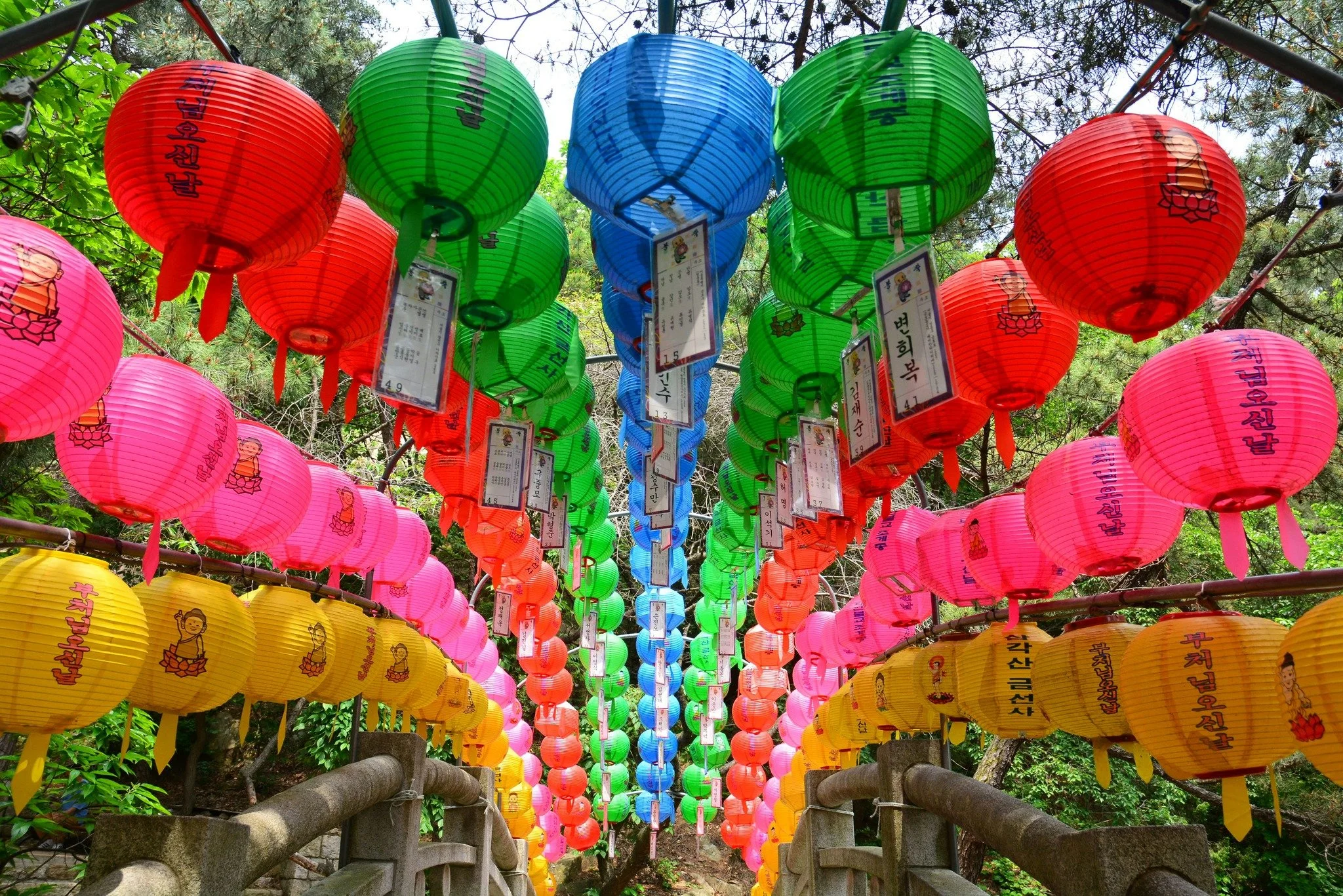 Uncover the Soul of South Korea with Undiscovered Frontiers ✨
From ancient palaces to neon skylines, from mountain sanctuaries to seaside serenity &mdash; South Korea is a land where the past and future dance in perfect harmony.

🌸 What makes this J