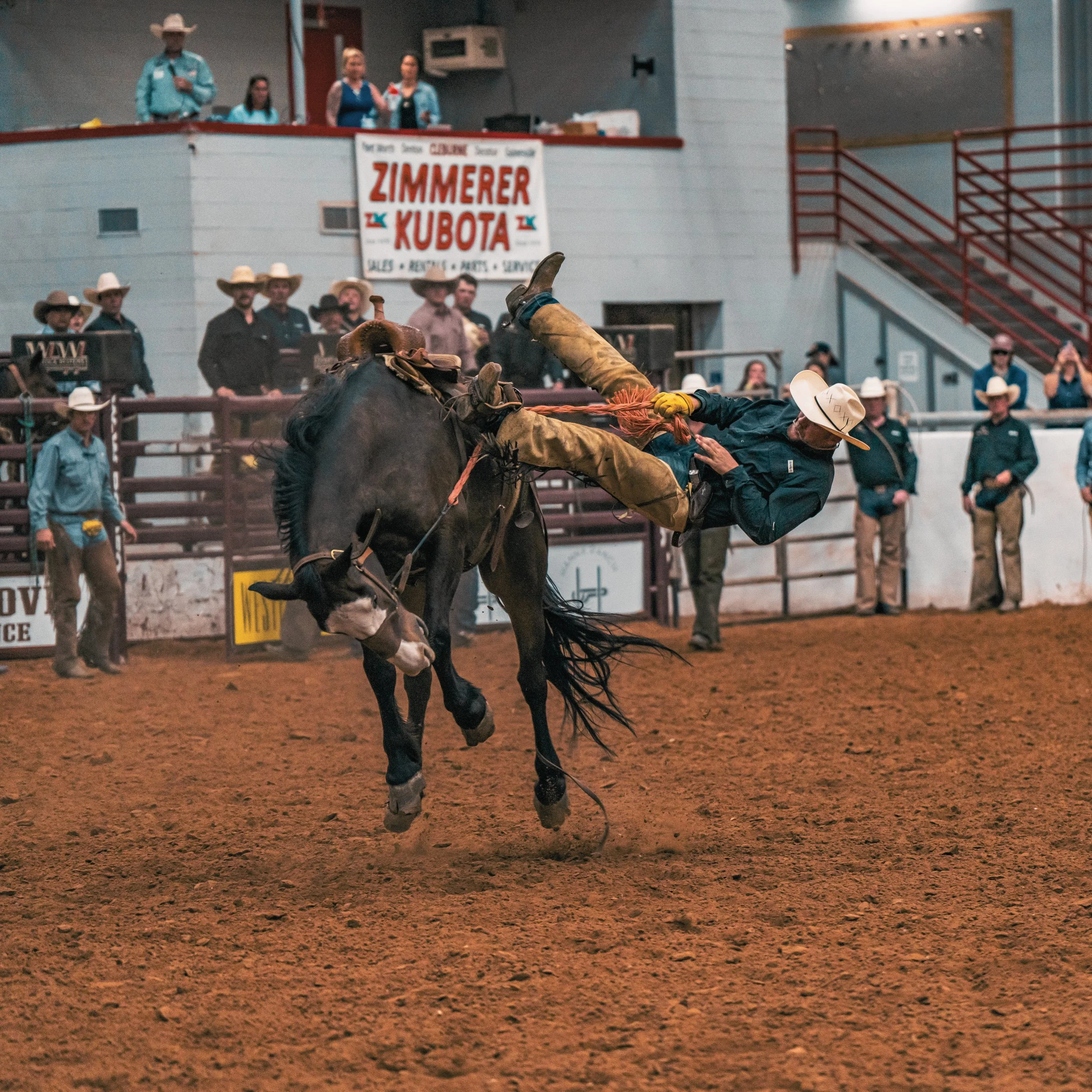 A cowboy falling off a bucking horse during a rodeo event inside an arena with spectators and signs in the background.