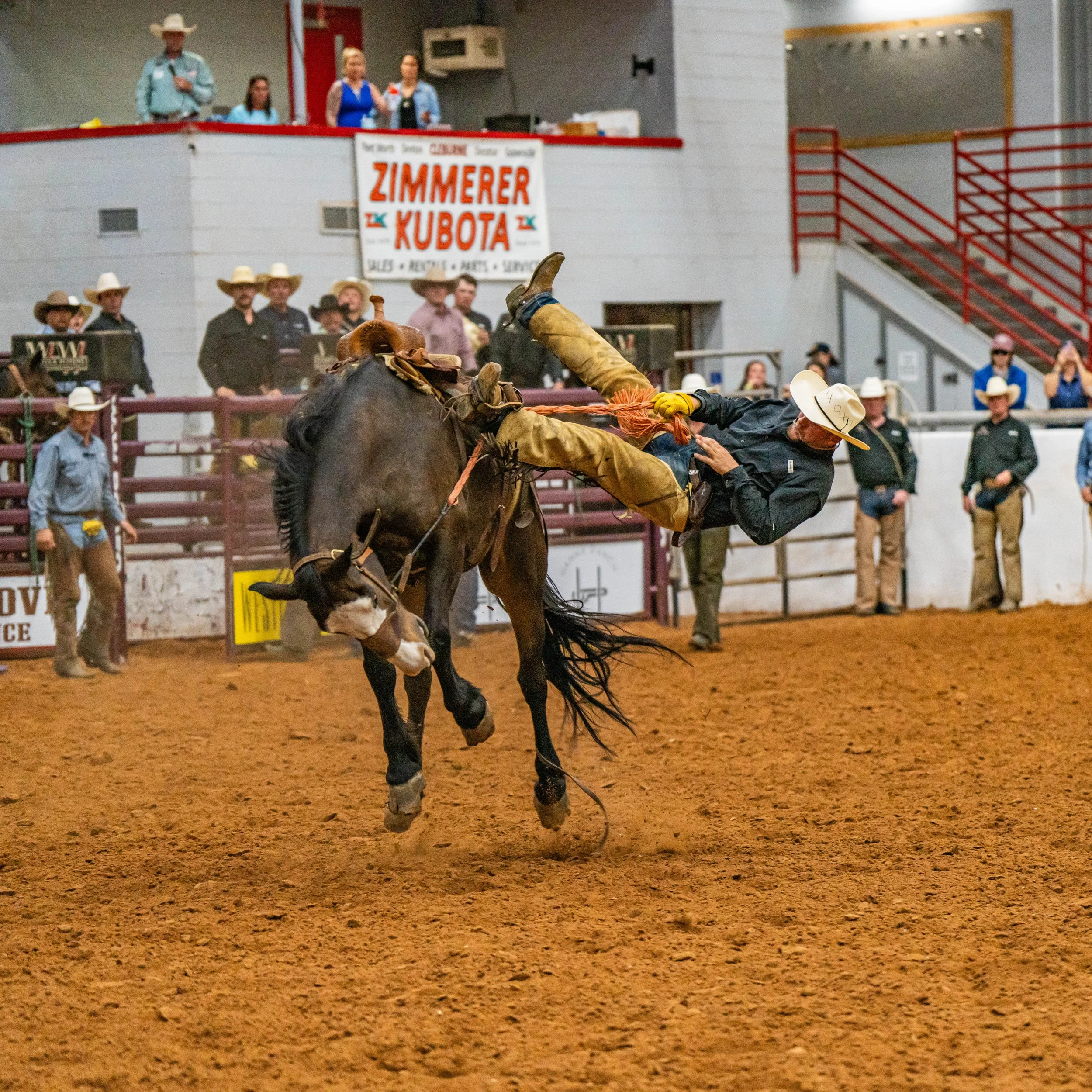 A cowboy falling off a bucking horse during a rodeo event inside an arena with spectators and signs in the background.