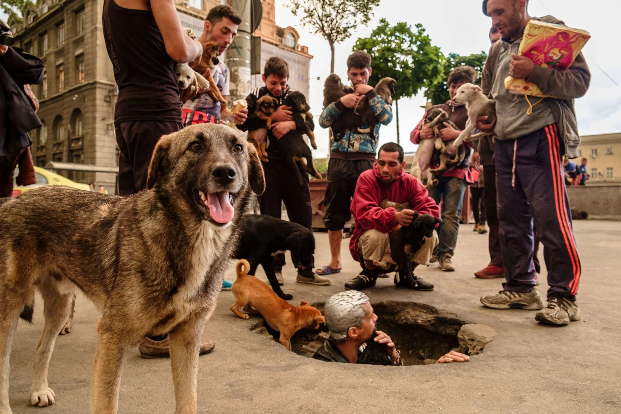 Scena di strada a Bucarest dal progetto Inside Outside Under Bucharest — ragazzi con cani intorno a un tombino aperto, fotografia documentaria a lungo termine di Massimo Branca