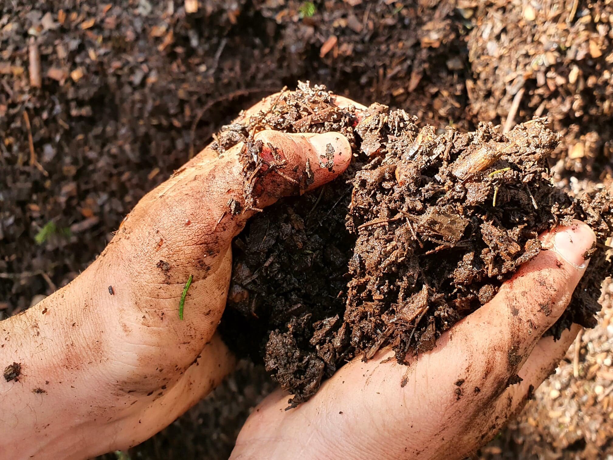 compost bomen