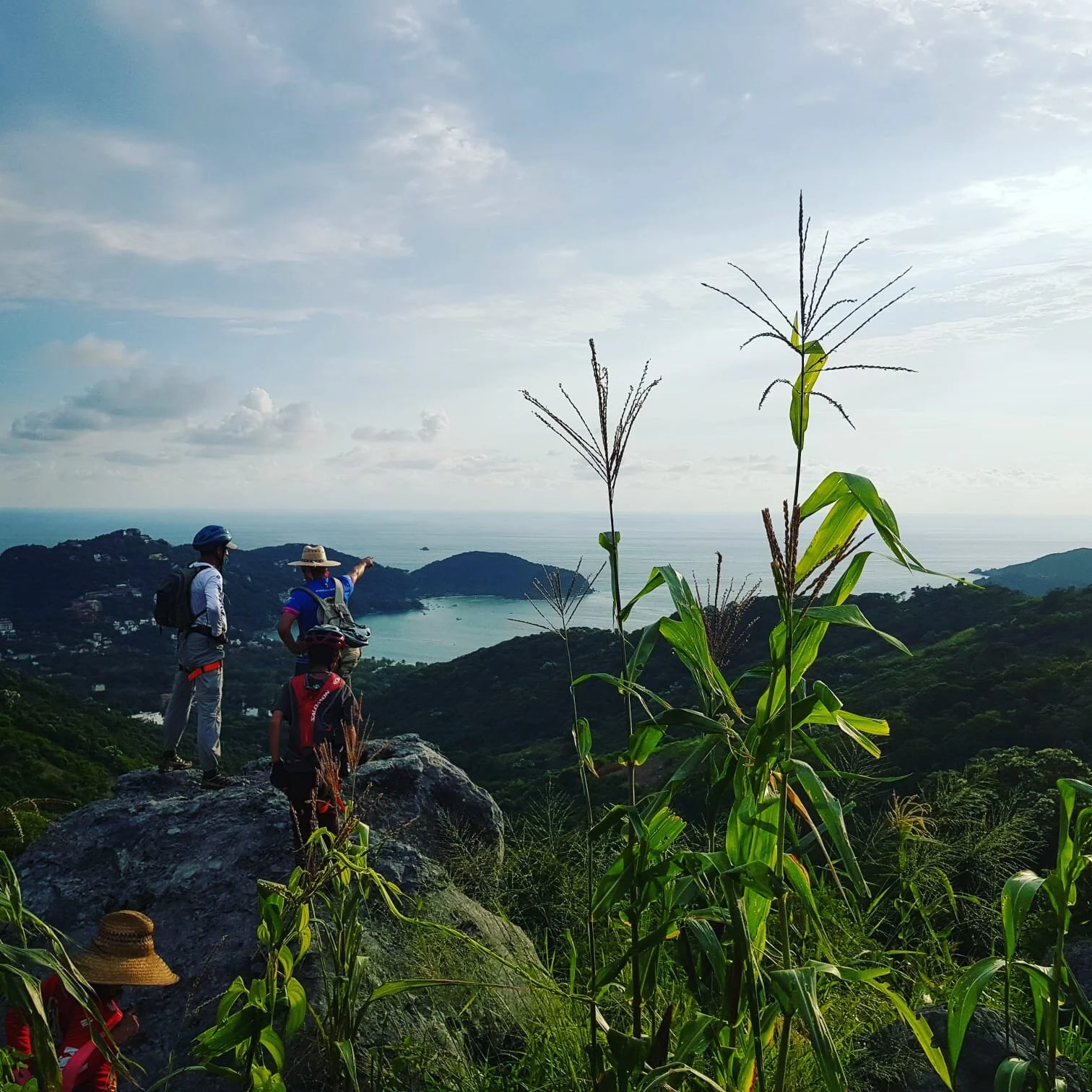 WhatsApp Image 2021-05-21 at 22.12.12.jpeg