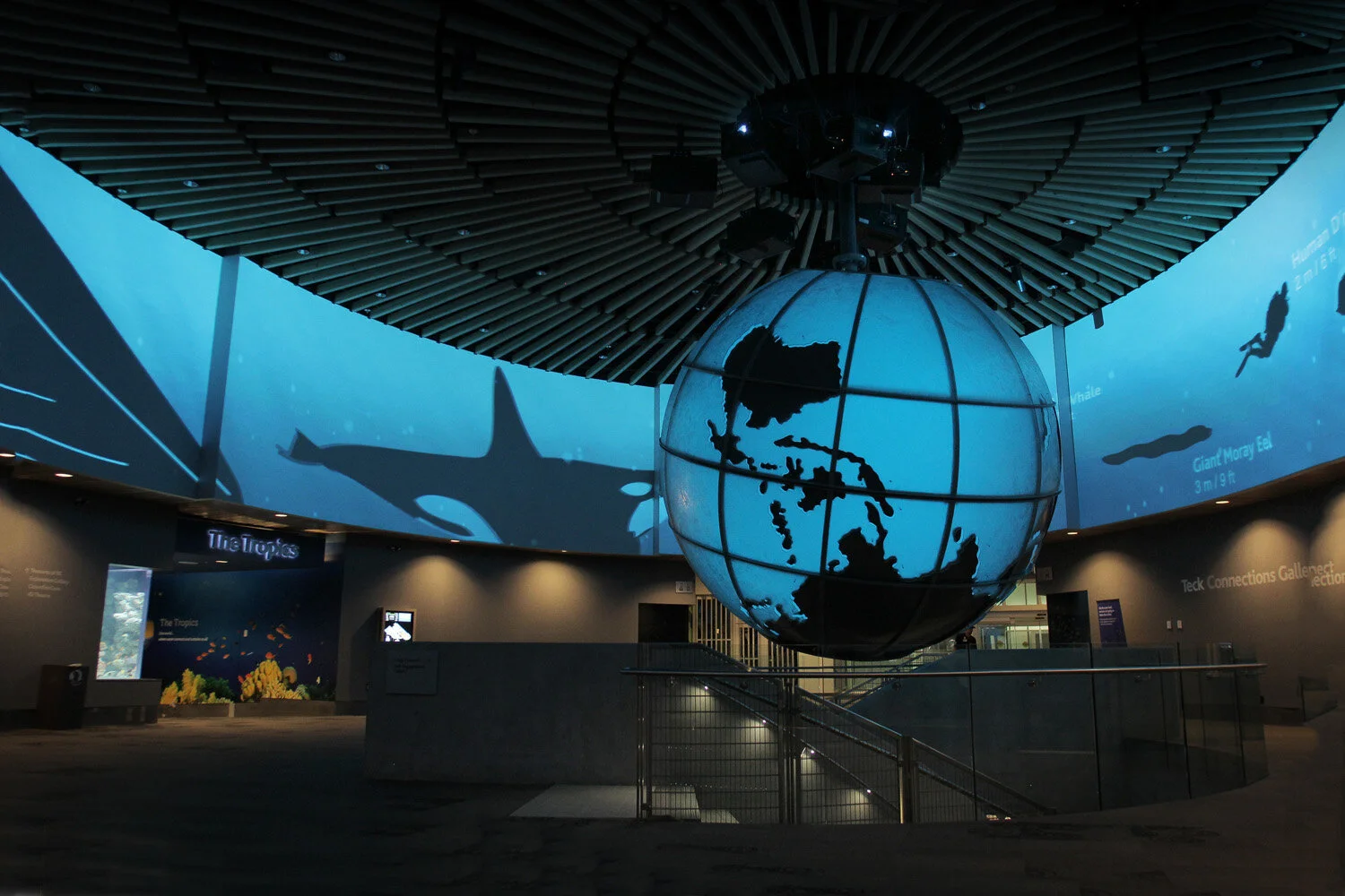 WORK_VanAqua.jpg