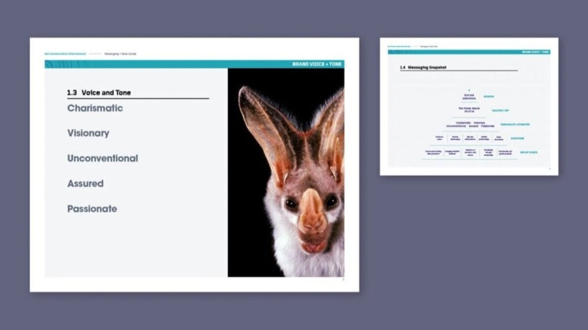 20_BRI_Website_Portfolio_BCI_GuideBlock-2640x1492.jpg