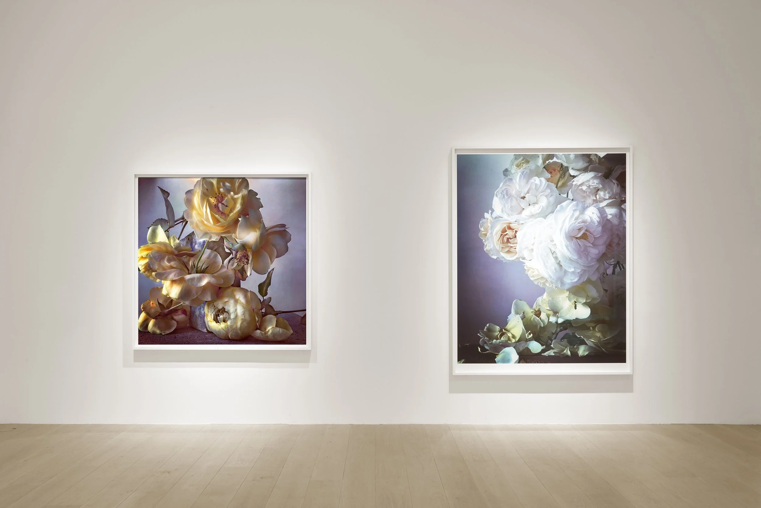Nick Knight for SHOWstudio and Albion Barn