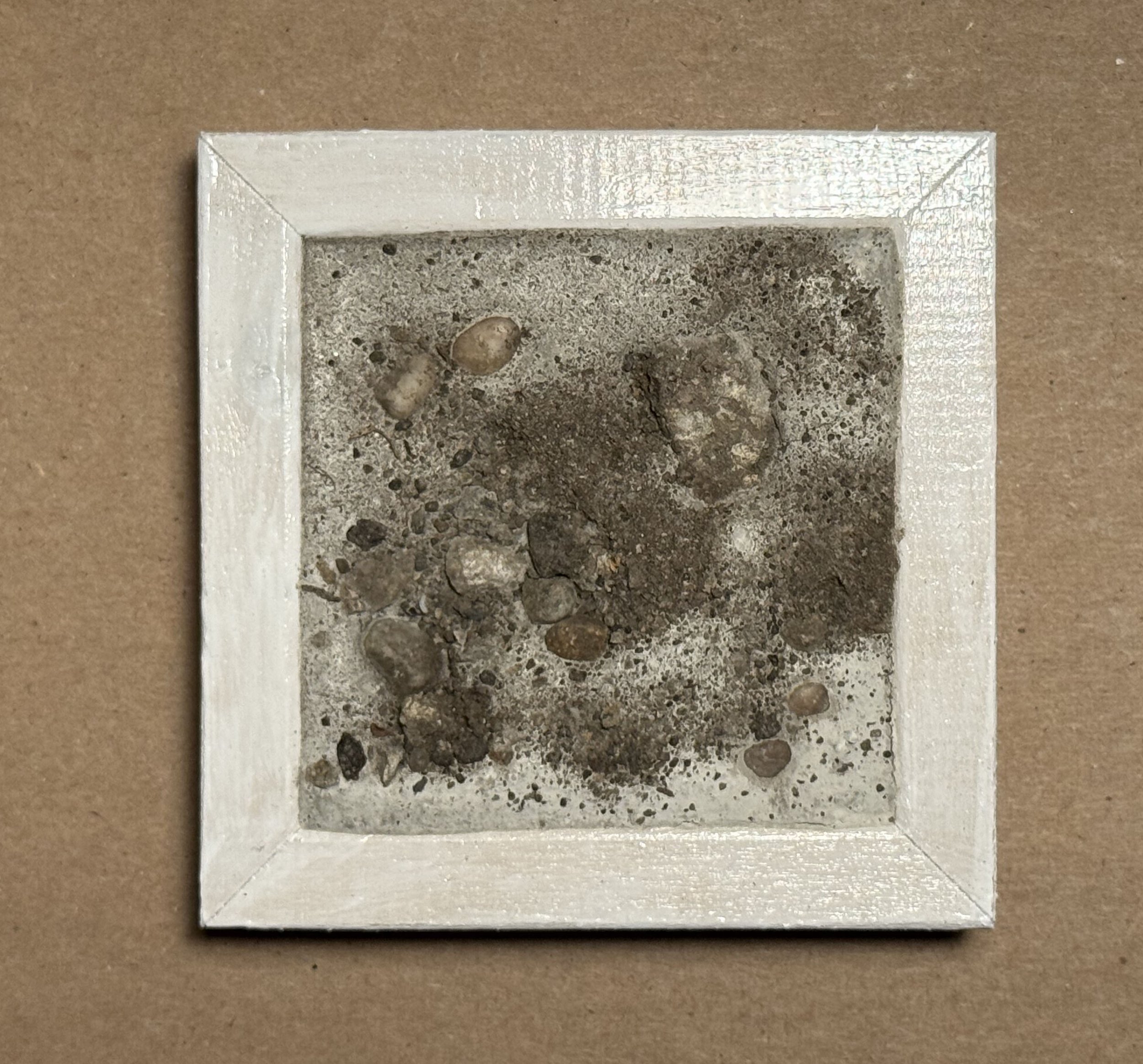 Aimee Goguen - Black Dahlia