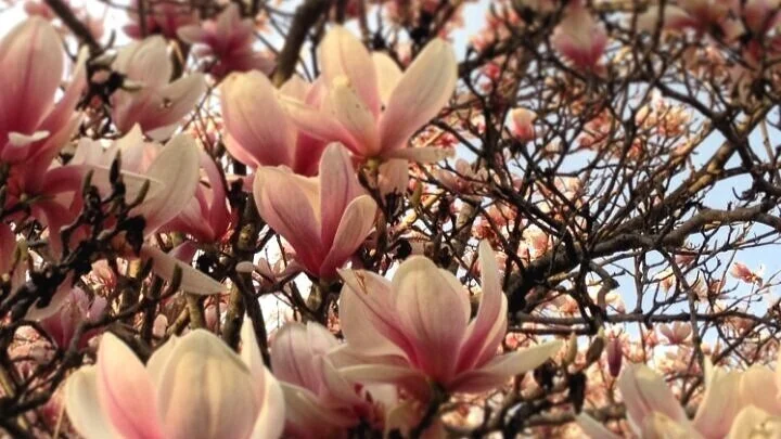 Considering a Move to the Hudson Valley?