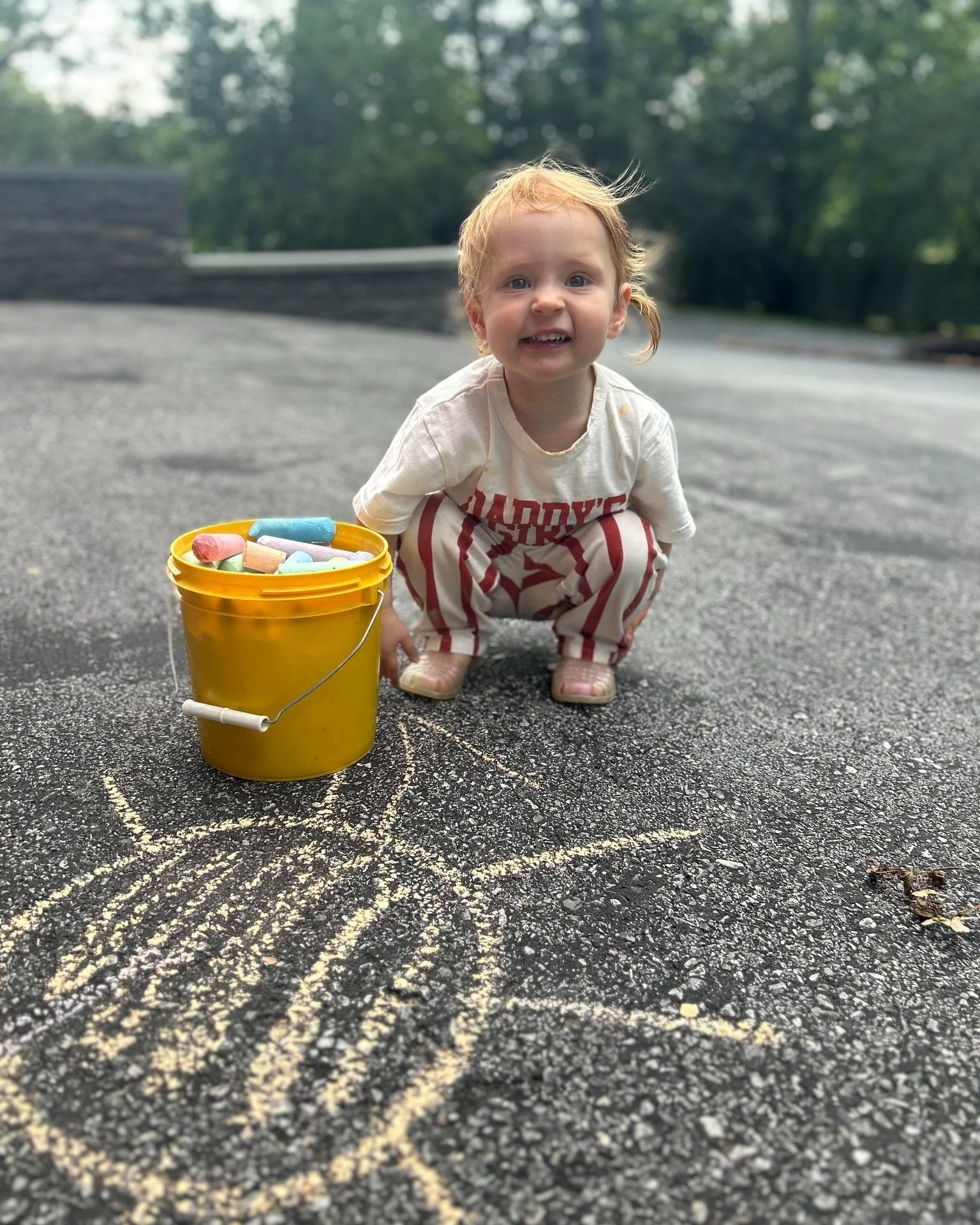 I blinked, and it became August.
Work, puppies, and toddlers happily consumed July.

#HudsonValleyInteriors #RhinebeckNY #ACDesignStudio #HudsonValleyDesigner #thebeckrhinebeck