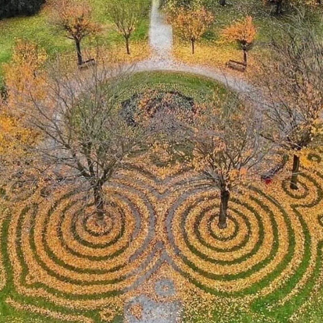 By land artist Nikola Faller, Osijek, Croatia.

📷 by the artist.
Via @lostfoundartny @treekeepers  @upstate_diary 

#leaves
#leaves🍁
#leaveonlyleaves
#outdoorart
#outdoorarts
#leaf
#leafart
#leafphotography #upstateny