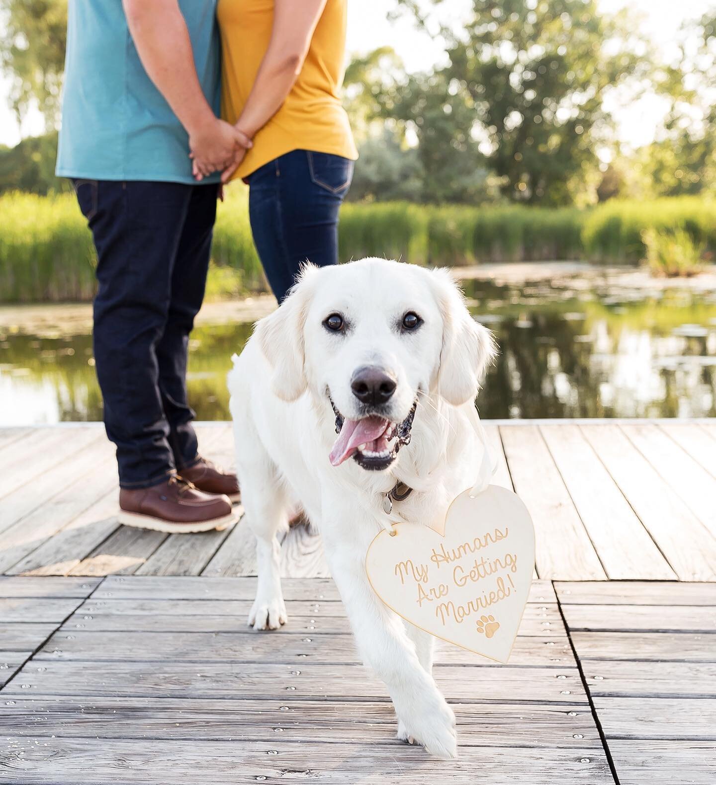 Happy #nationalpuppyday to all the amazing pups out there! It&rsquo;s no secret that we love dogs around here &mdash; so if you&rsquo;re ever on the fence about including them in your engagement or wedding photos...just know that my vote will always 