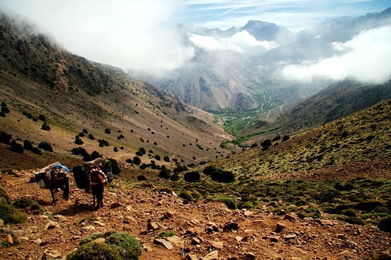 berber-village-morocco.jpg