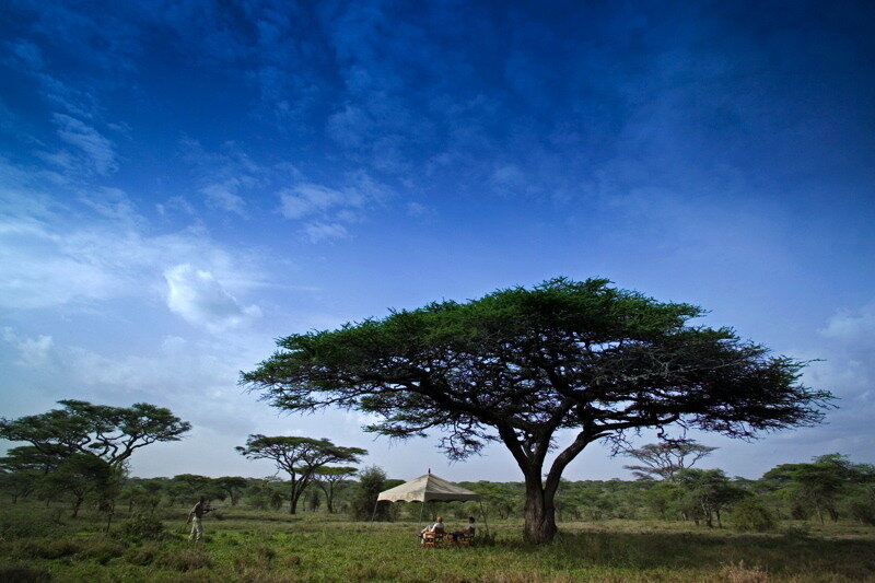 serengeti-under-canvas-1.jpg