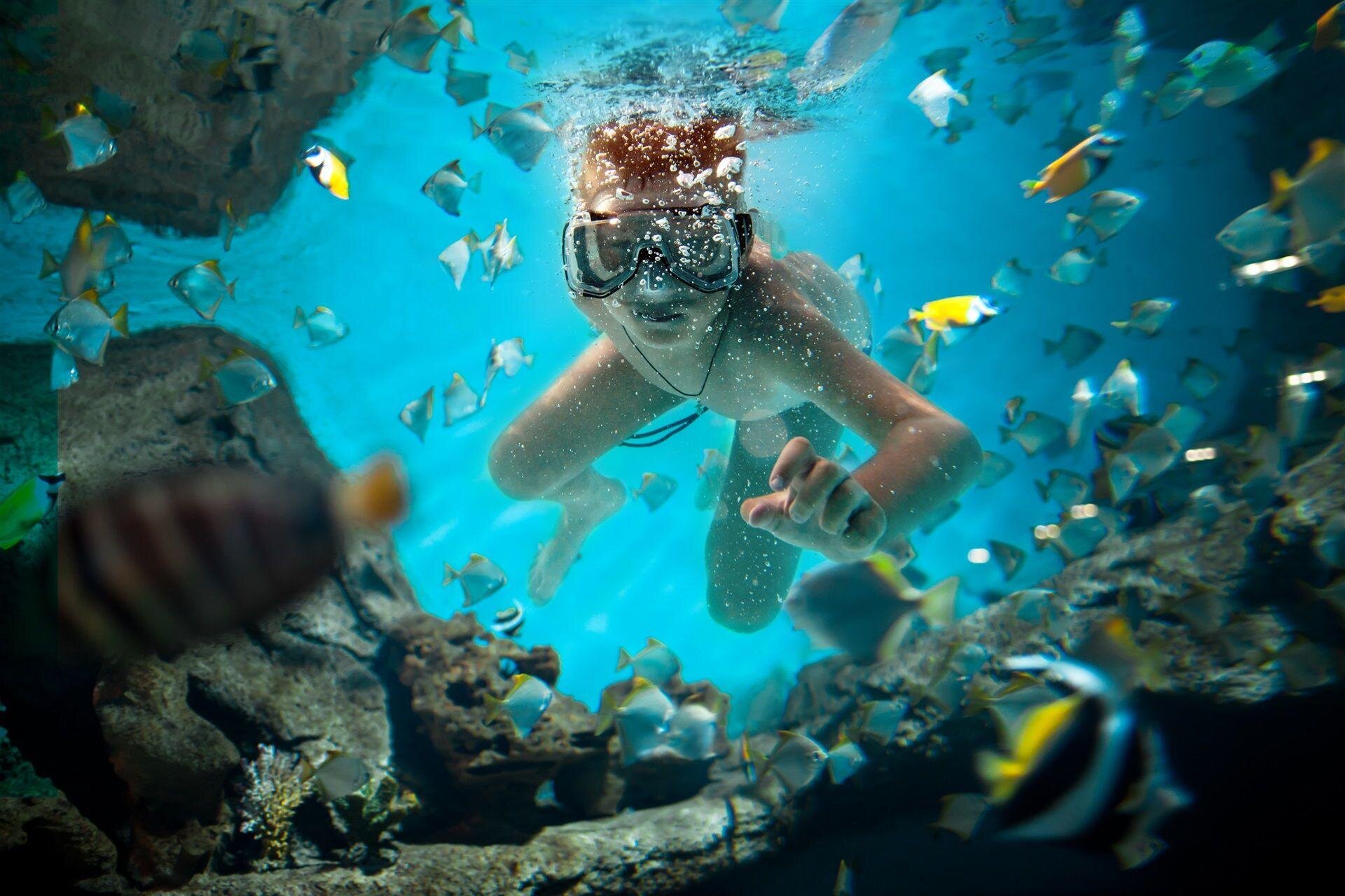 phinda-ocean-safari-scuba.jpg