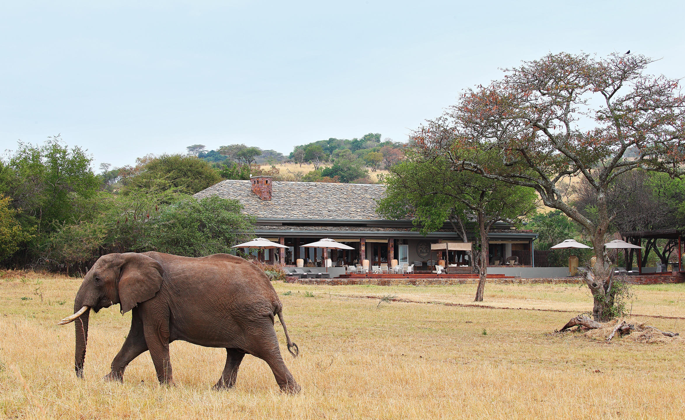 Singita Serengeti House.jpg