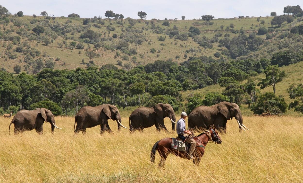offbeat_safaris_-_amboseli_elephants.jpg