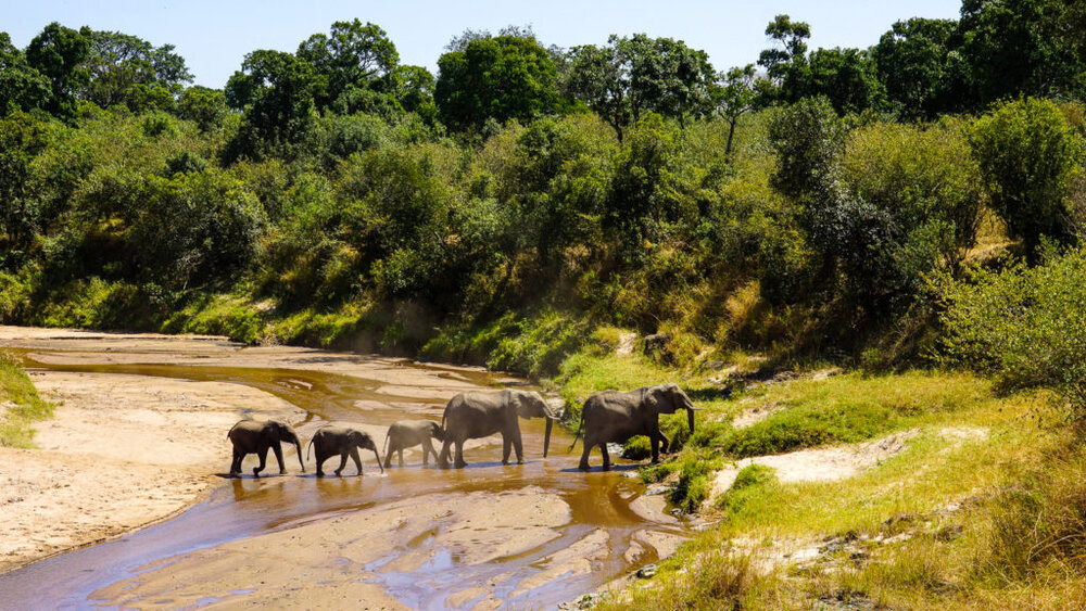 Tanzania-_-elephant-family-1024x576.jpg