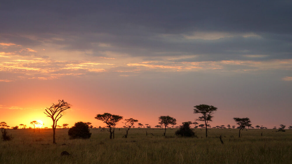 Tanzania-_sunset-2-1024x576.jpg
