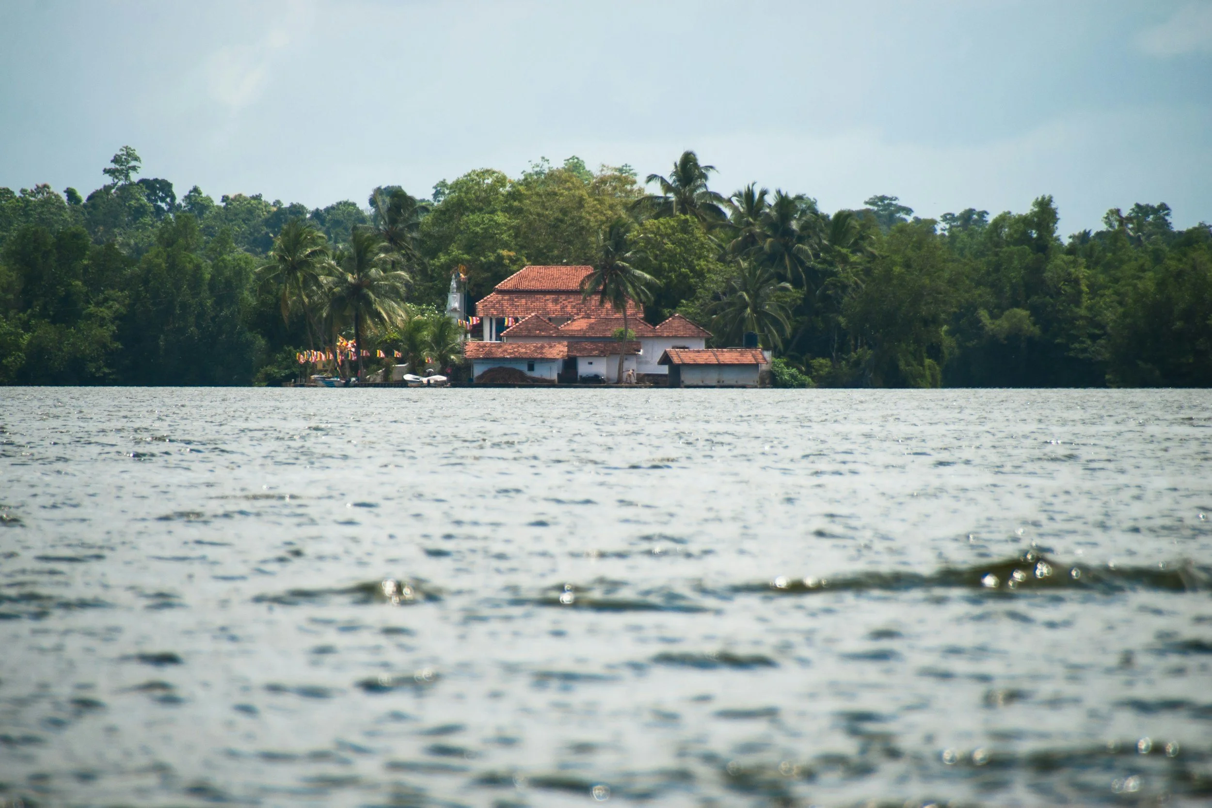 unsplash-image-FX1MbFrPCJA.jpg