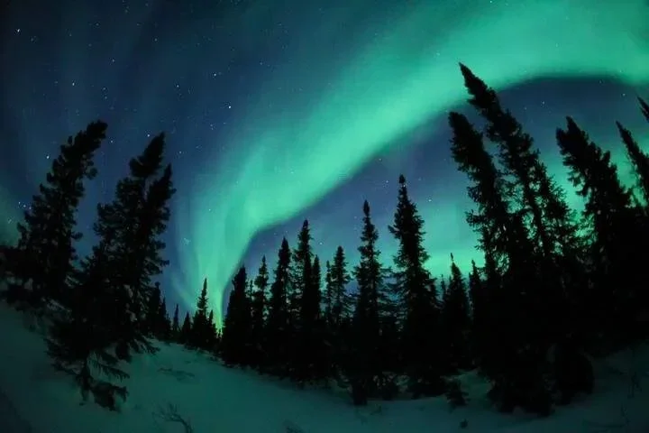 aurora2.webp