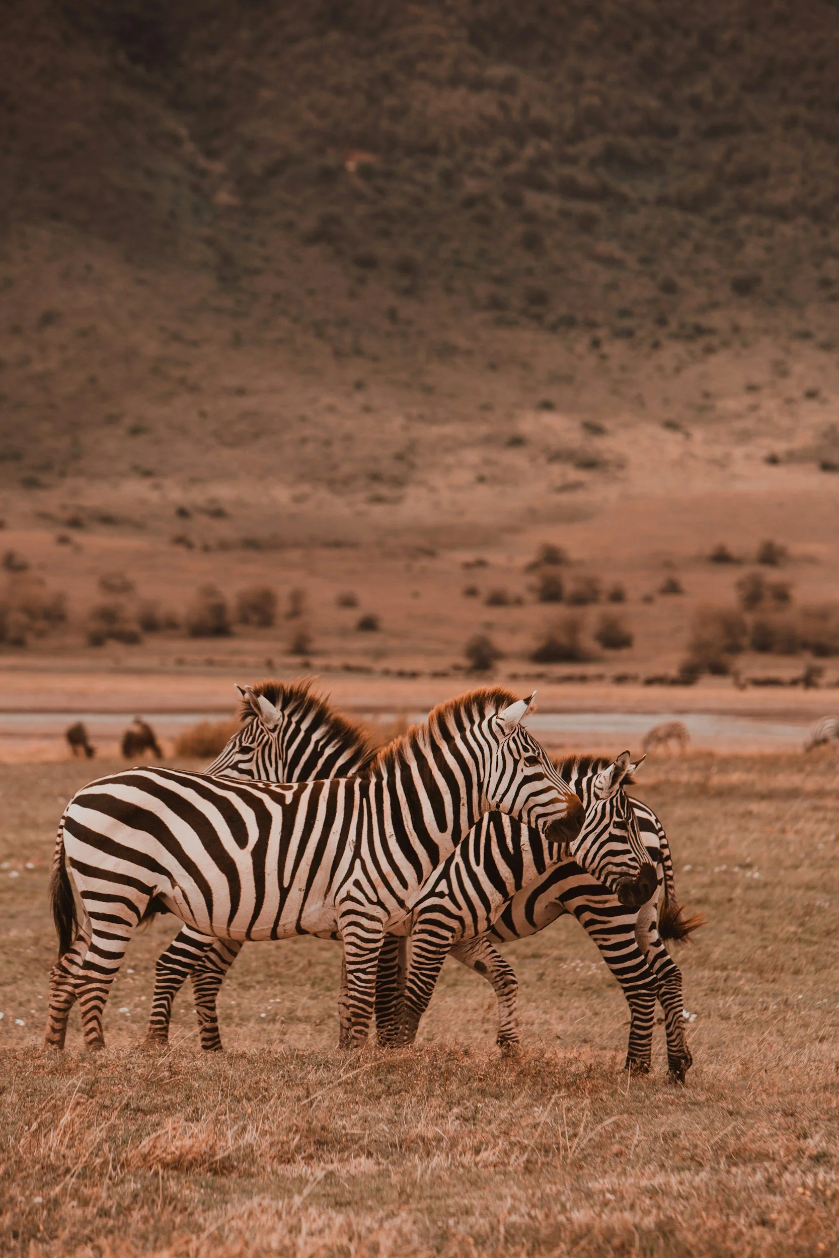 The Best Way to Experience the Ngorongoro Crater