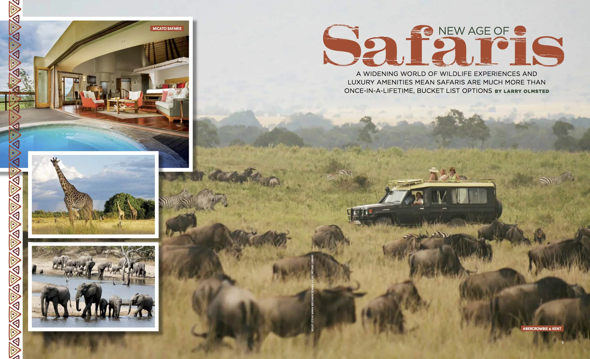 Cigar-NewSafaris2017+1.webp