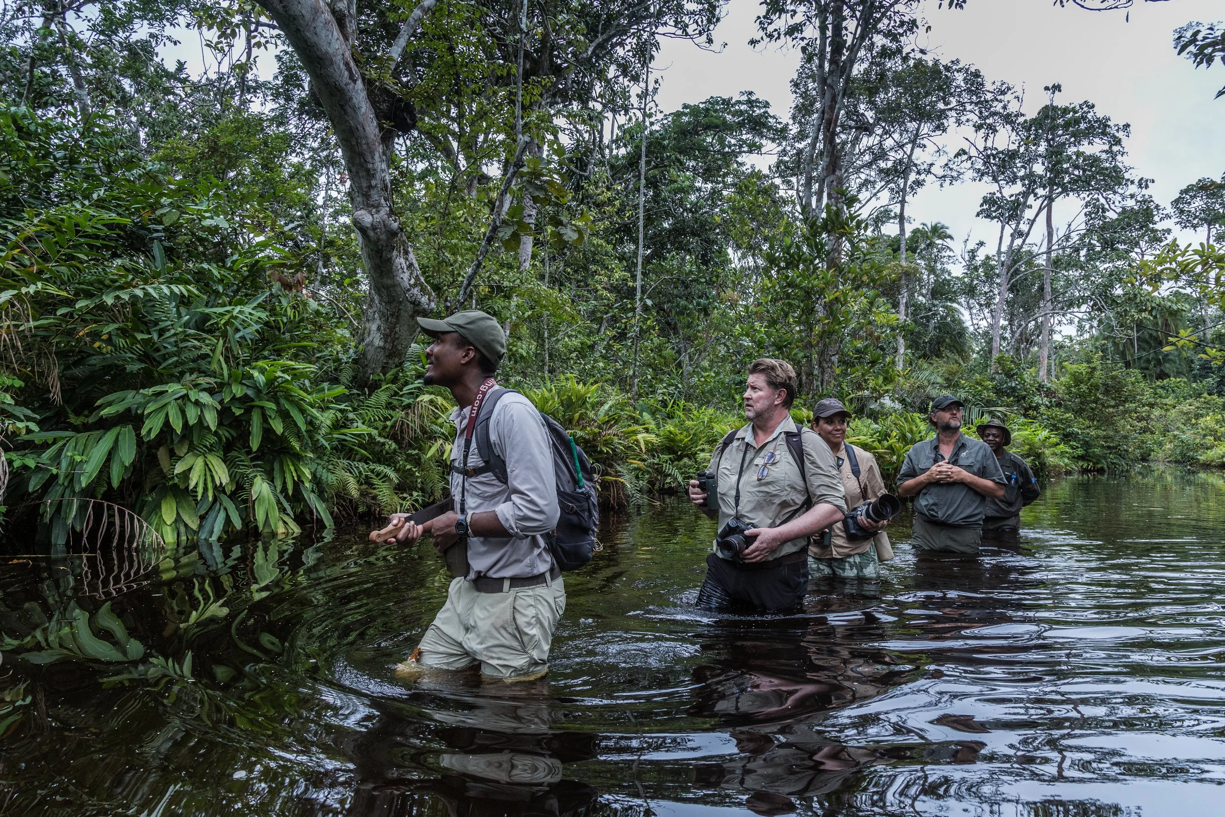 forest and river walks on safari in the congo