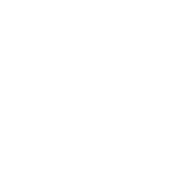 Fixed Price // Website in a Week