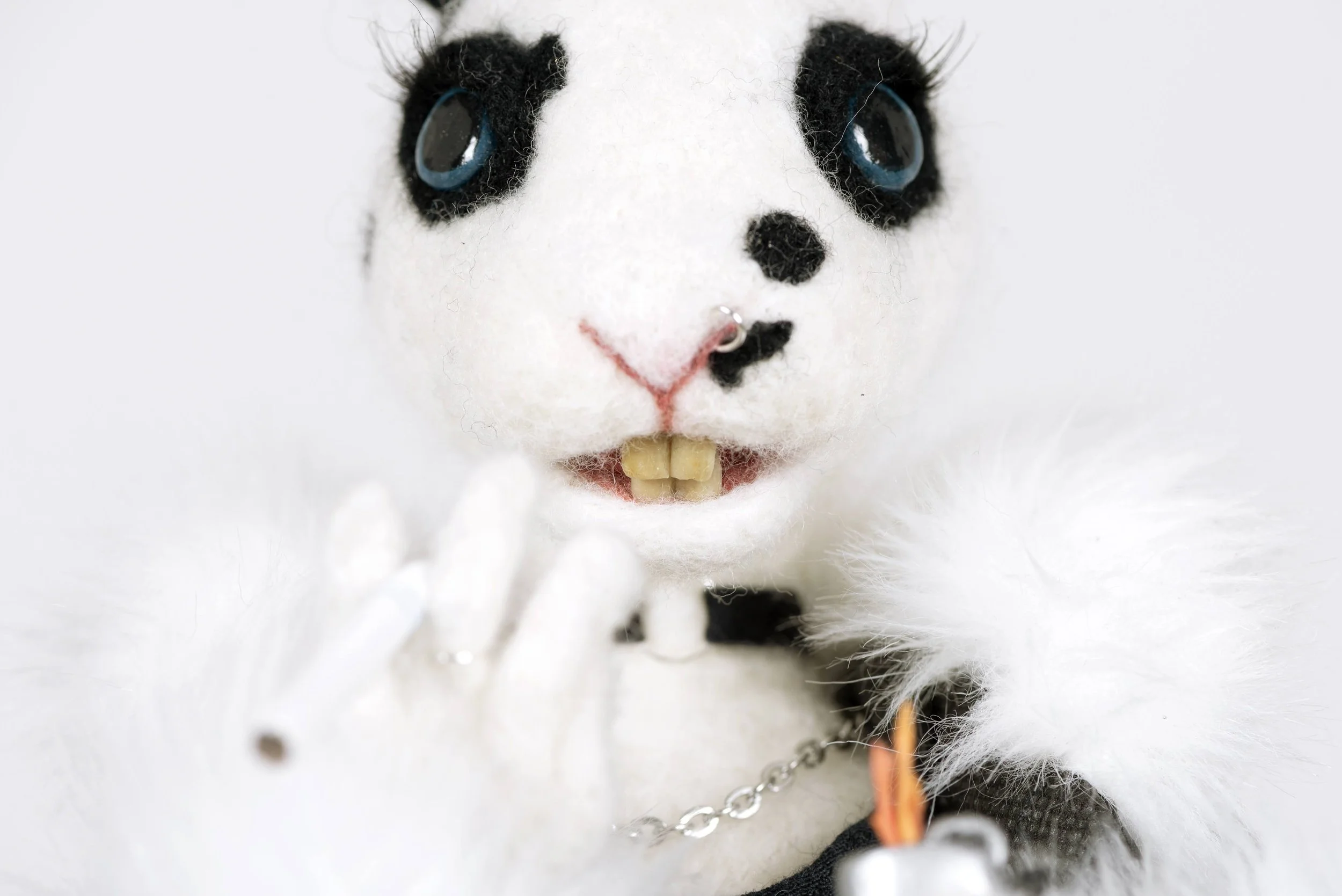 photo credit @ Amanda Yeoman