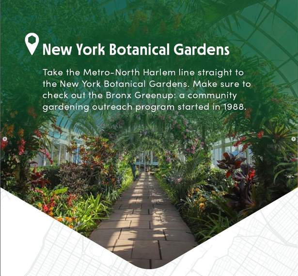 Interior view of a greenhouse at the New York Botanical Gardens, with a pathway lined with lush green plants and colorful flowers, and natural sunlight streaming through the glass ceiling.